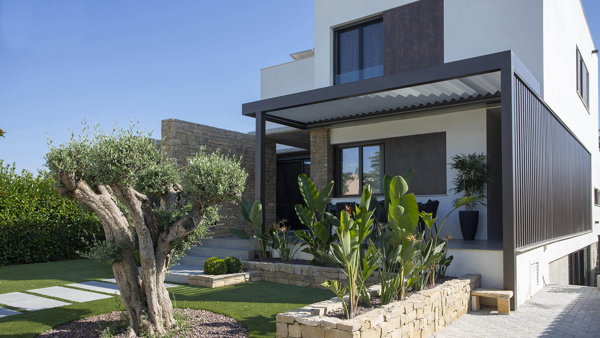 Pergola adossée anthracite avec brise-vue latéral à lames, devant une maison contemporaine et un jardin planté d'un olivier